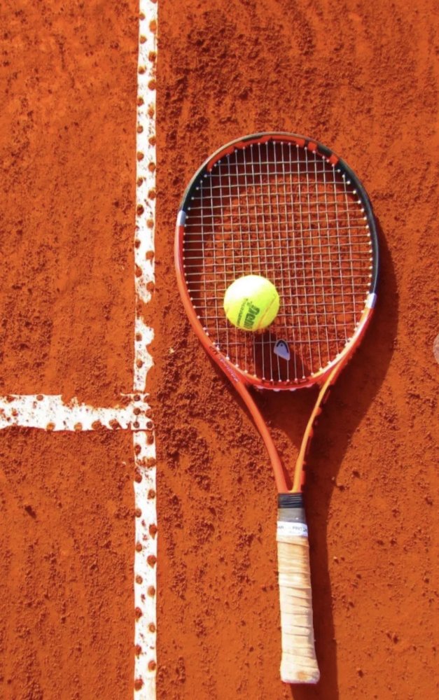 علاقه مندان تنیس خاکی